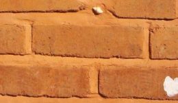 mud-brick-second-hand-timber1
