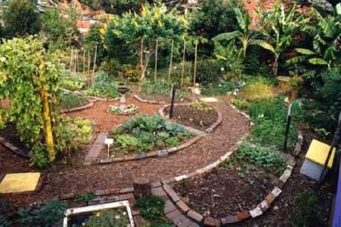 mandala garden